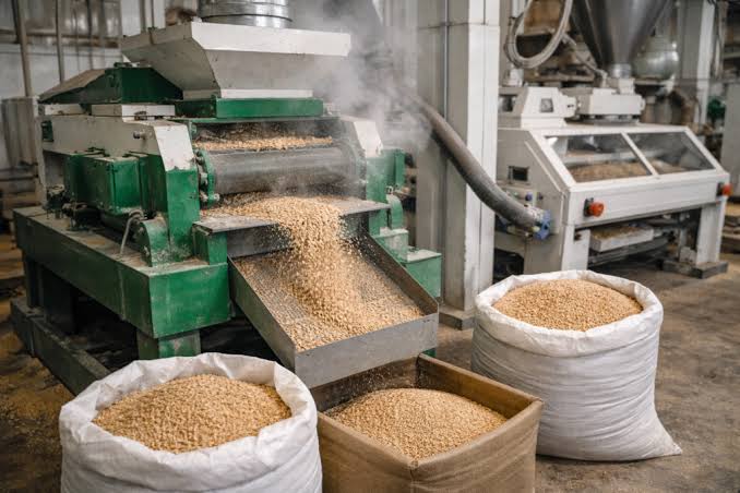 Rice Processing